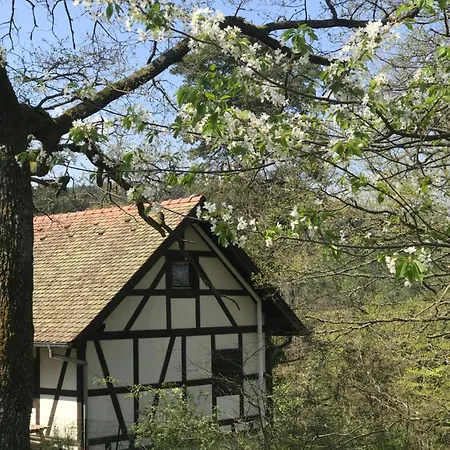 Logis Du Haut-koenigsbourg תאננקירש